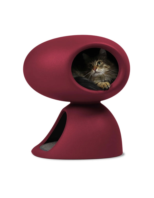 Design Katzenhaus Cat Cave | Qeeboo x Stefano Giovannoni
